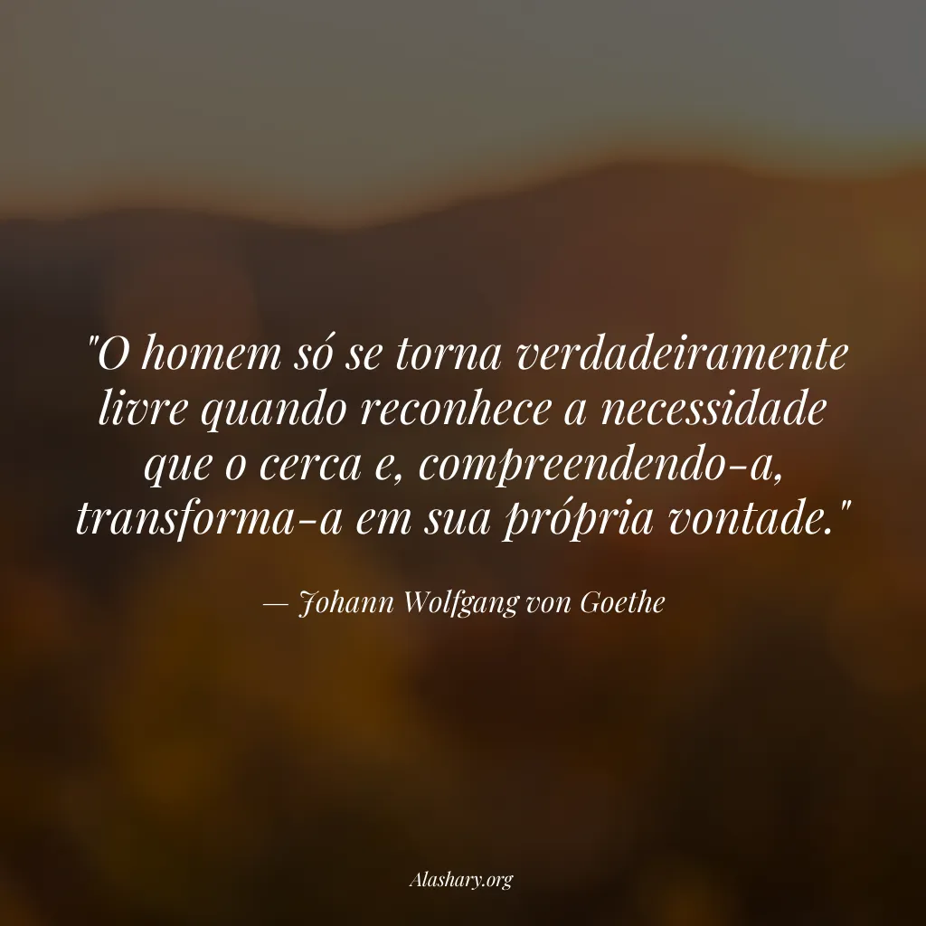 Frase de Johann Wolfgang von Goethe
