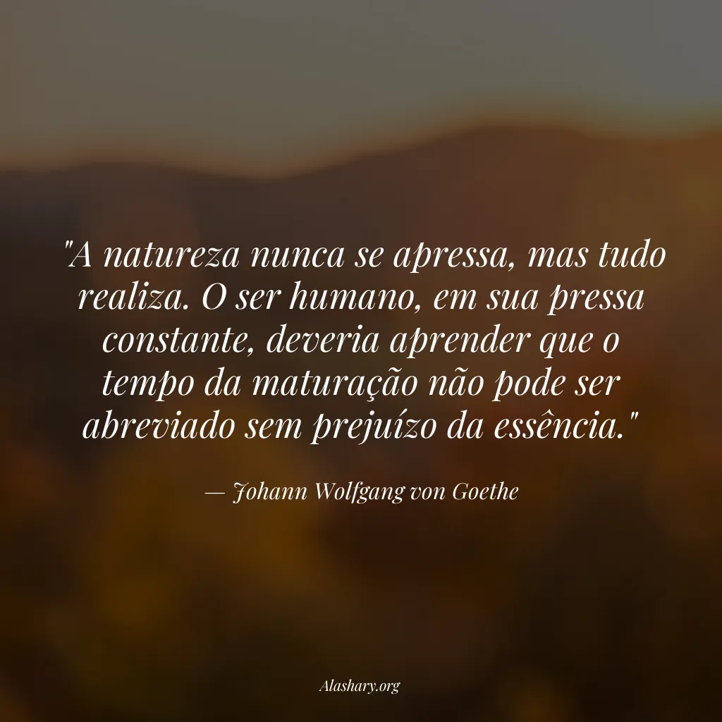 Frase de Johann Wolfgang von Goethe