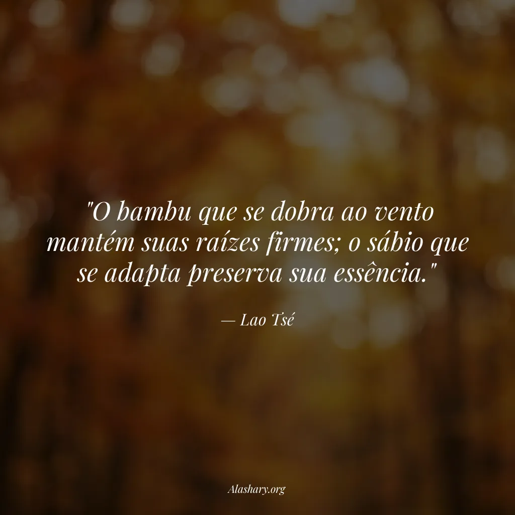 Frase de Lao Tsé