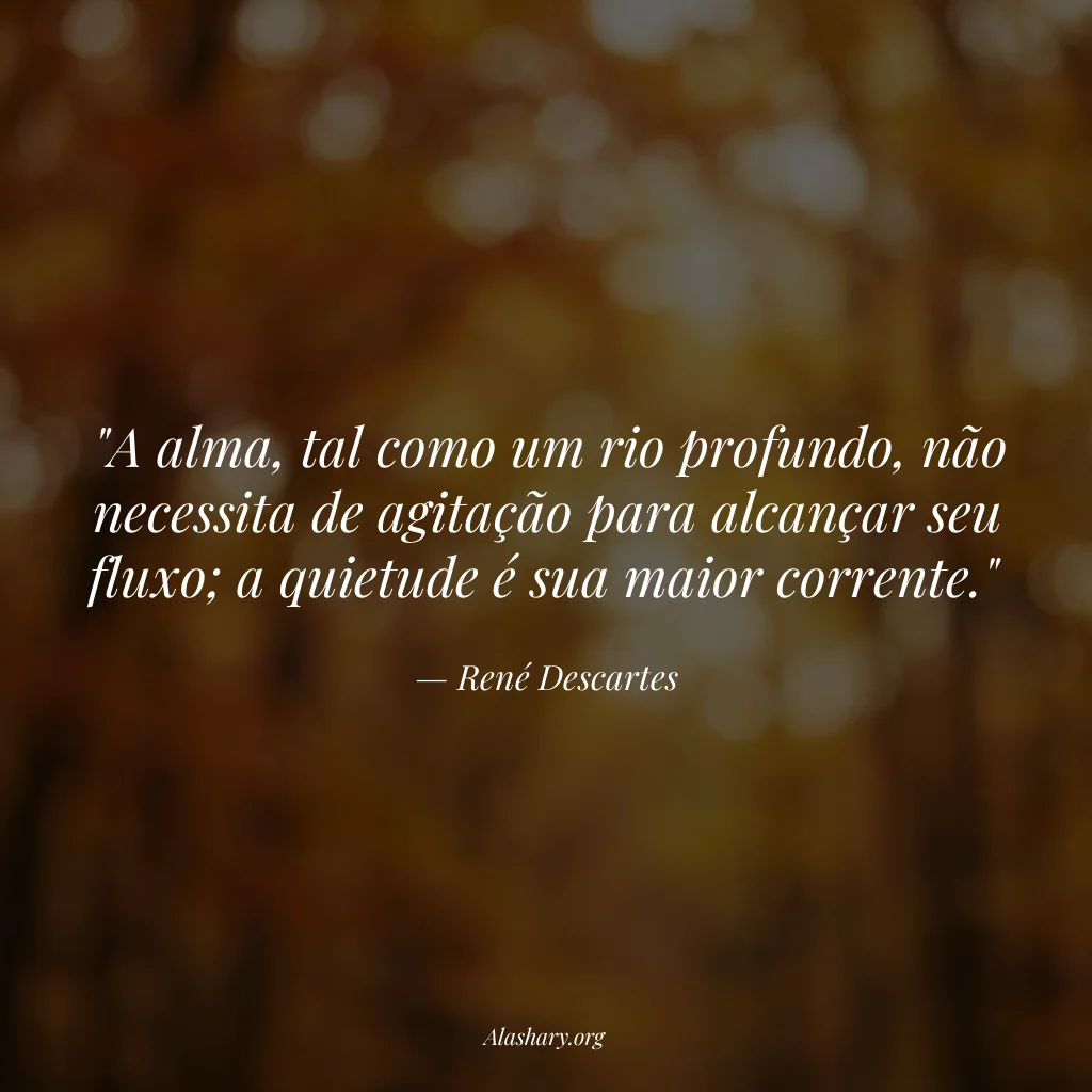 Frase de René Descartes