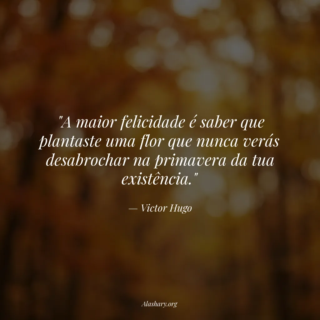 Frase de Victor Hugo