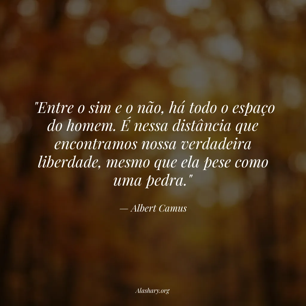 Frase de Albert Camus