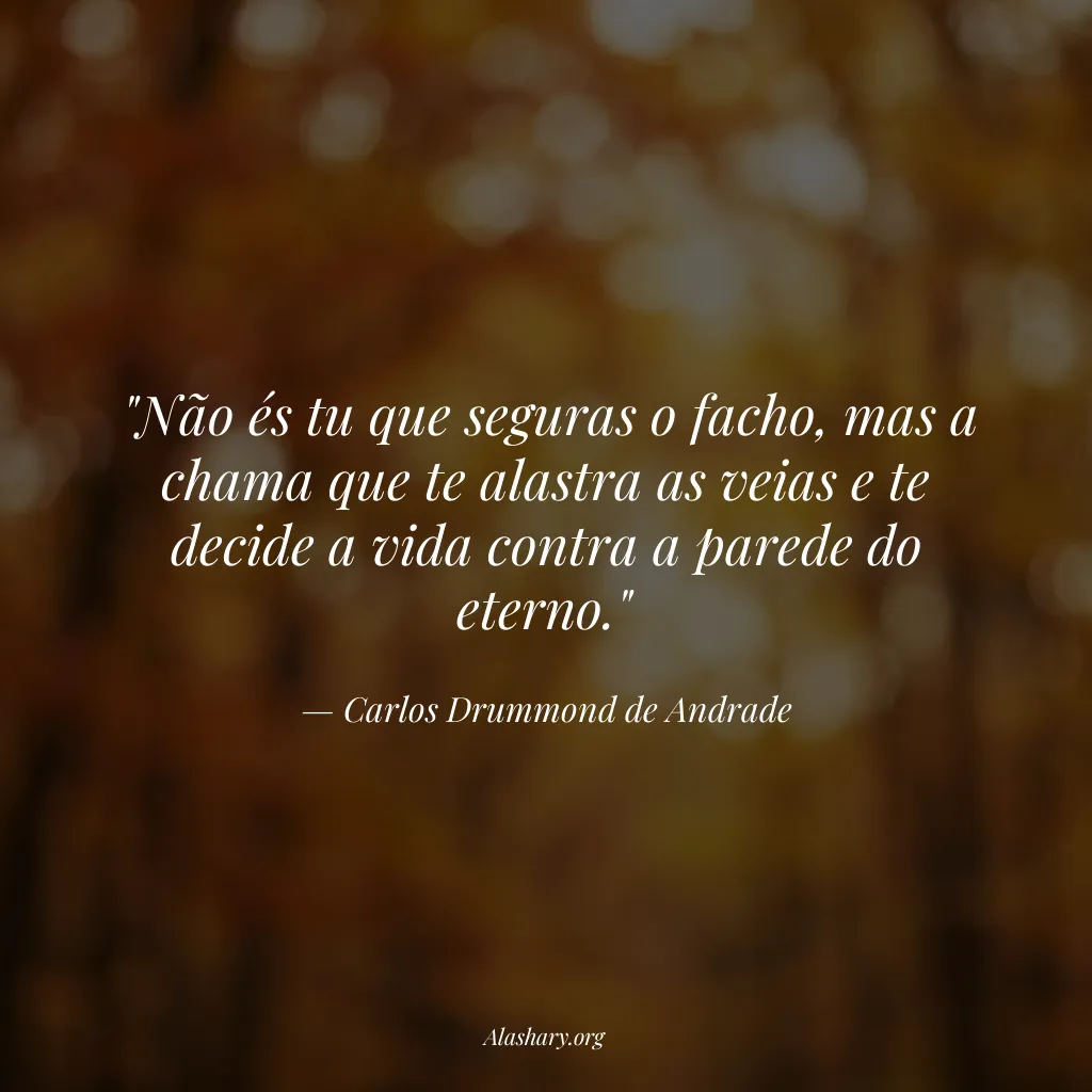 Frase de Carlos Drummond de Andrade